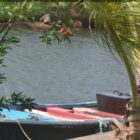 It’s River Time in Dominica, The Nature Island!